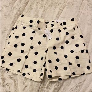 ann taylor shorts
